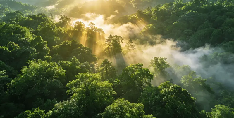 齐齐哈尔肺癌119基因检测图片1